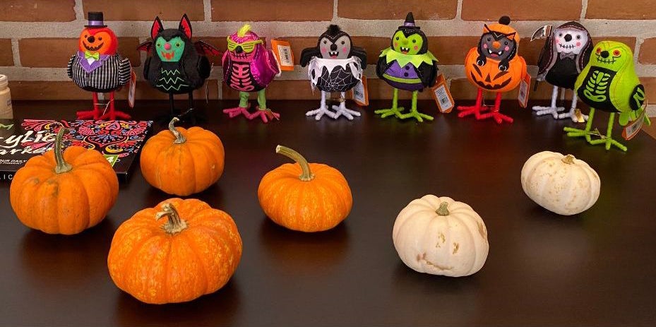 collection of small pumpkins and halloween decor
