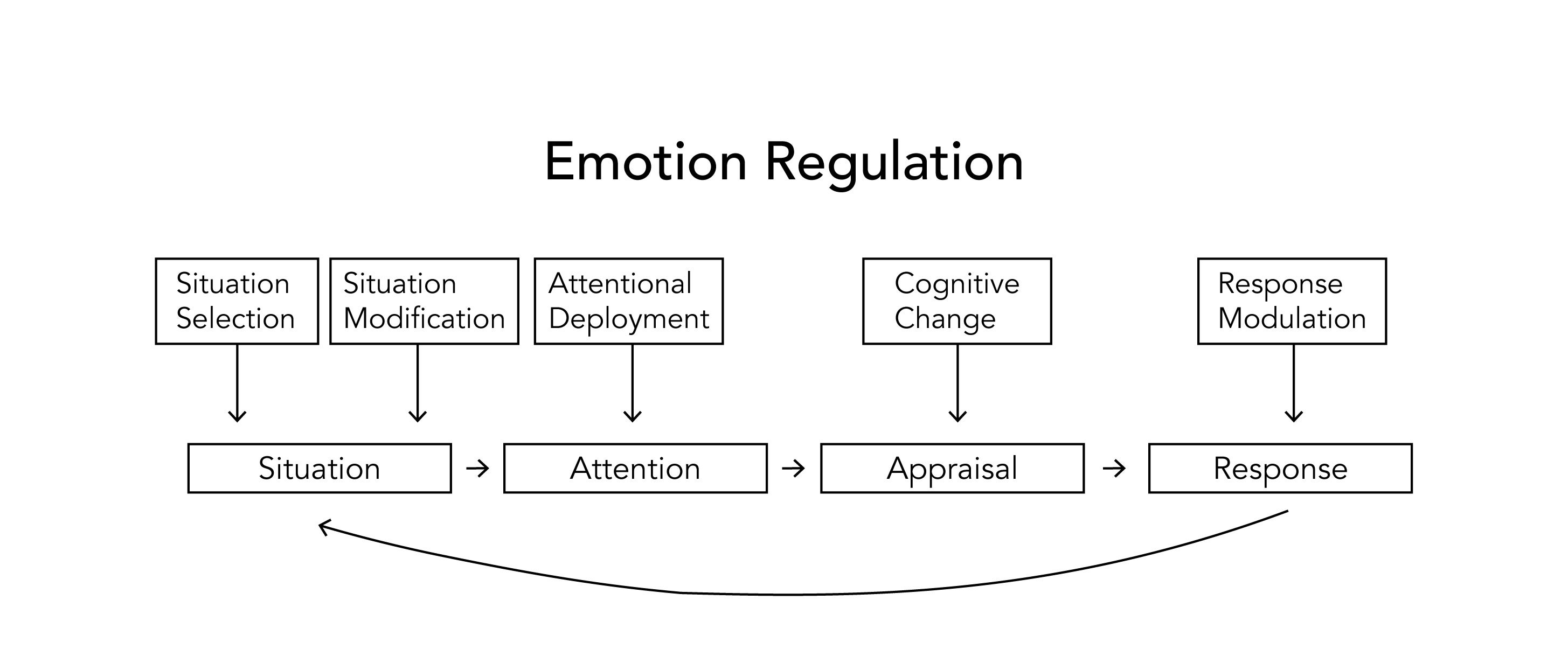Emotion regulation model