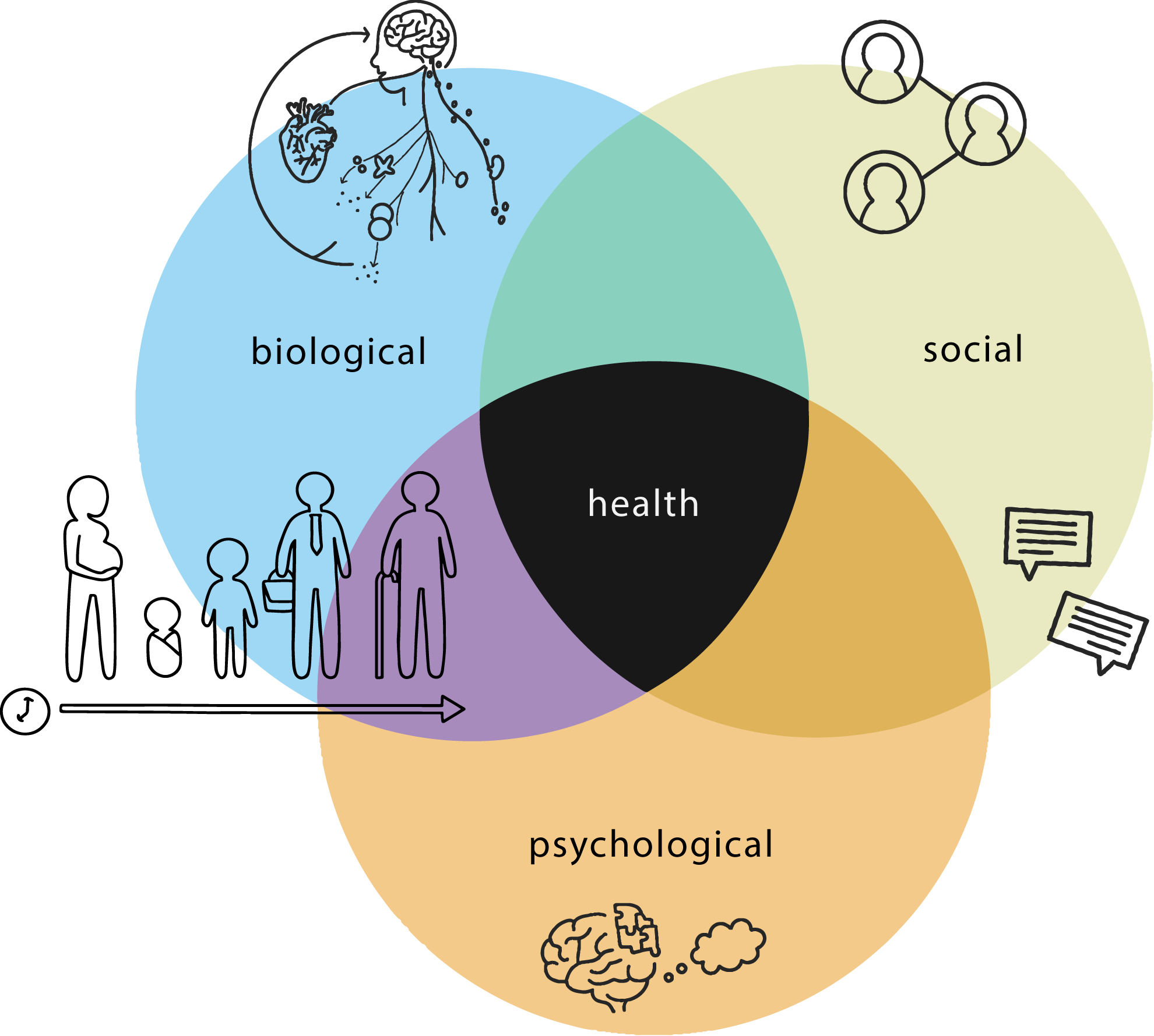 What is Health Psychology? | Department of Psychological Sciences | Rice University